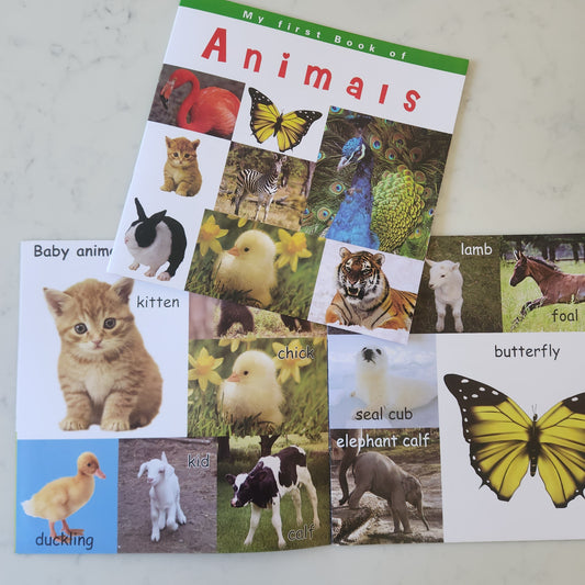 My First Book of Animals (Large)