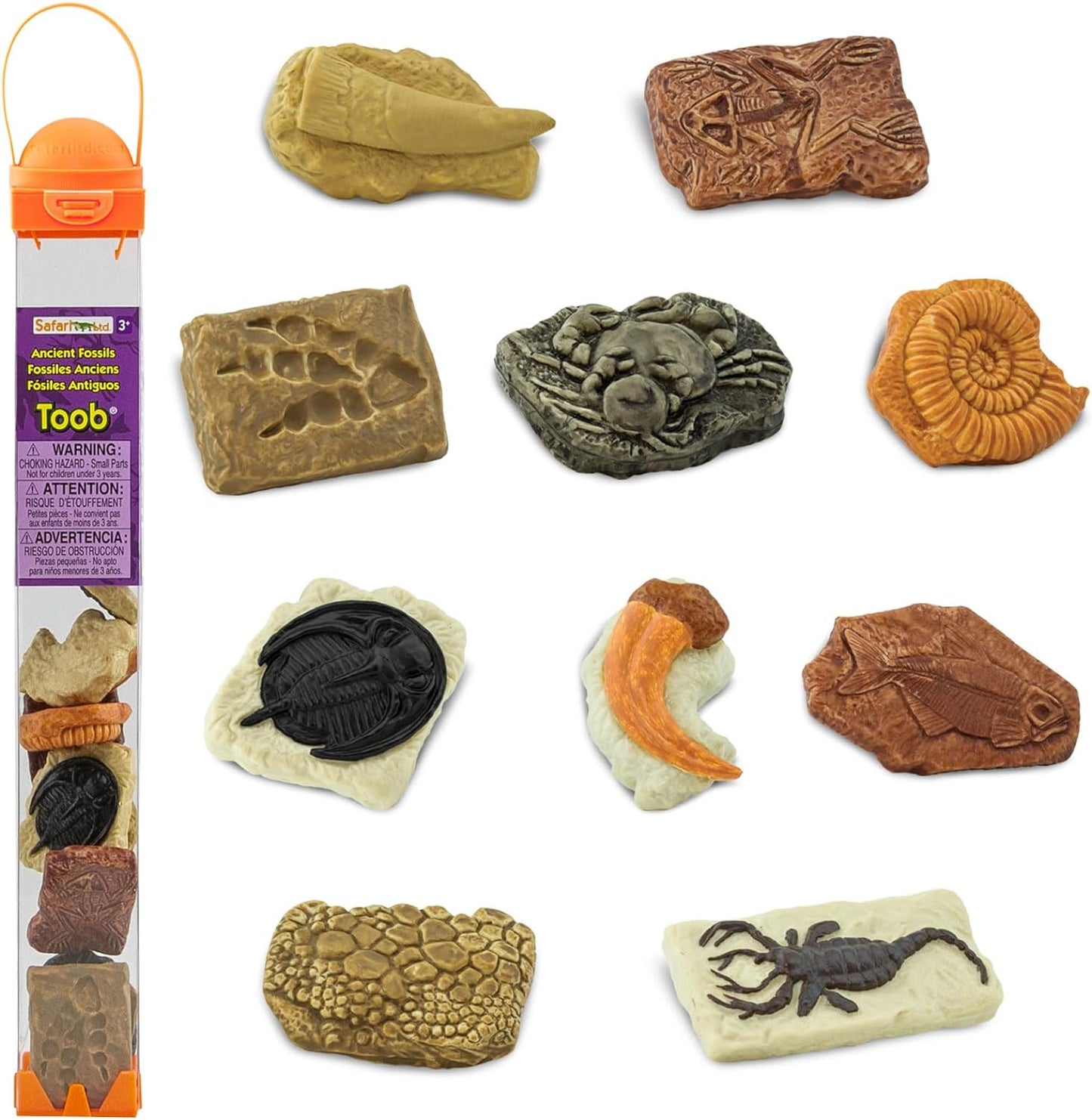 Safari LTD Ancient Fossils