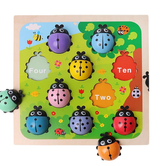 Ladybug Colour and Number Match Puzzle