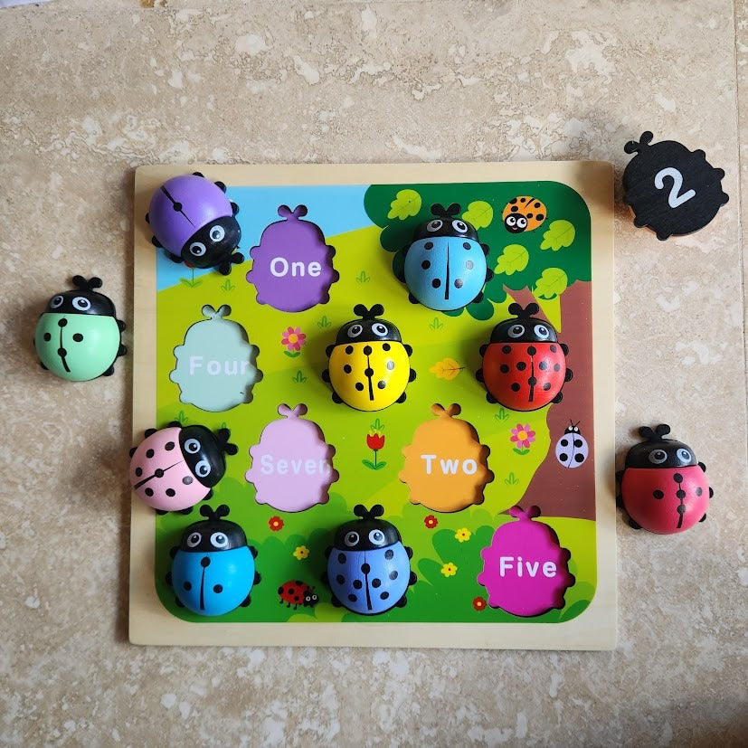 Ladybug Colour and Number Match Puzzle