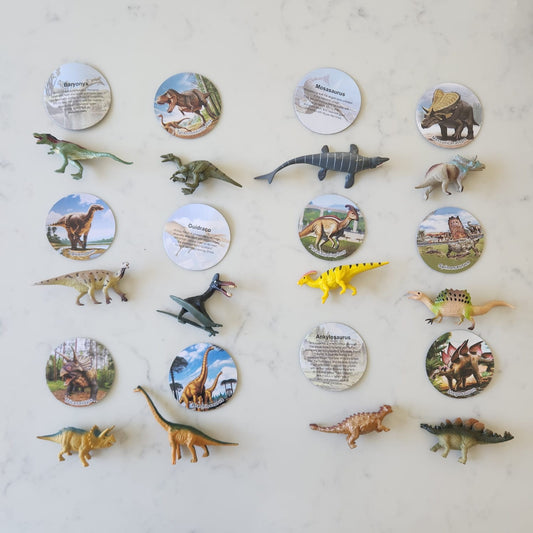 Dinosaurs and Cards - Set of 12