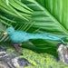 Safari LTD Toob Exotic Birds